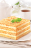 img_katalog_900x1400_tvor